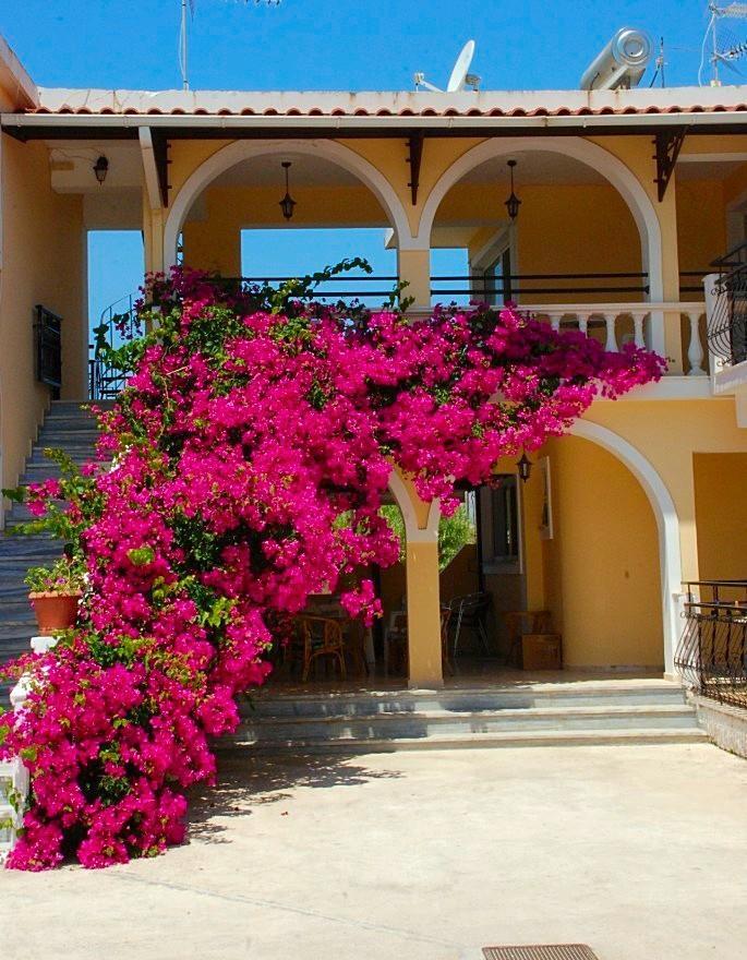 Aparthotel Zante 523 Laganas Exterior foto